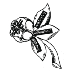 Click to view larger image