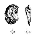 Click to view larger image